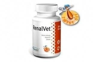 VETEXPERT RenalVet 60 Capsules