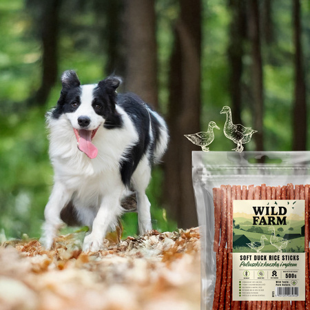 WILD FARM duck and rice sticks 2x500g dog treats