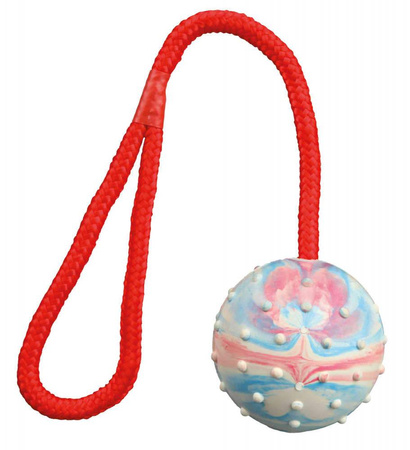 Trixie Ball on a String 6/30 cm