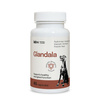 Lab-v Glandala - Supports the proper functioning of the anal glands and digestive tract in dogs 2x45 capsules 