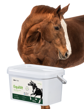 Lab-v EquiVit Dietary feed mix for horses and ponies supporting immunity, the skeletal and joint system, and proper metabolism 2000 g