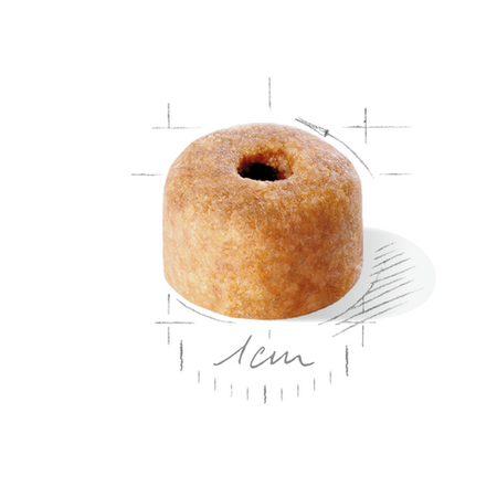 ROYAL CANIN Labrador Retriever Puppy 12kg