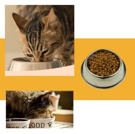 First Class Sterilised 1.5kg - dry food for sterilised cats with chicken flavour