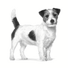no pork ROYAL CANIN Satiety Weight Management Small Dog 3kg