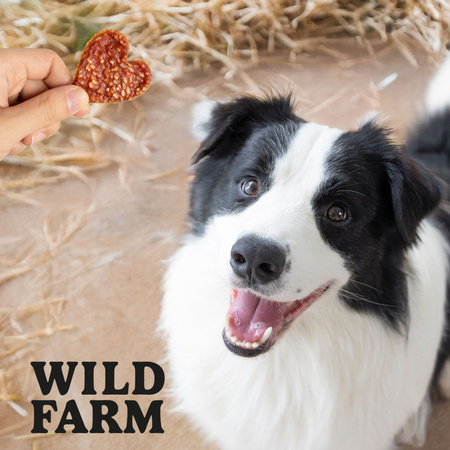 WILD FARM Hearts with duck and rice 500g dog treats
