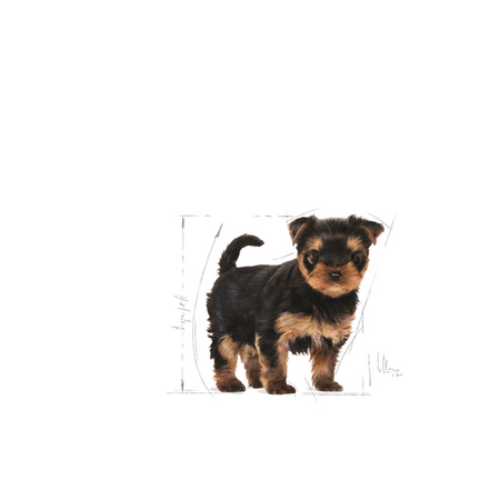 no pork ROYAL CANIN Yorkshire Terrier Puppy 1.5kg