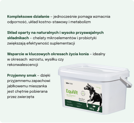 Lab-v EquiVit Dietary feed mix for horses and ponies supporting immunity, the skeletal and joint system, and proper metabolism 2000 g