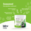 Lab-v Sea Algae – a natural source of iodine and minerals for dogs and cats, 400 g