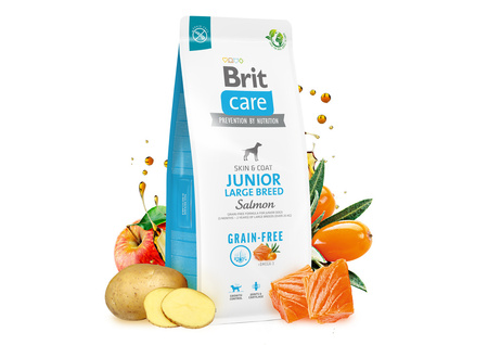 BRIT CARE Dog Grain-free Junior Large Breed Salmon 12kg