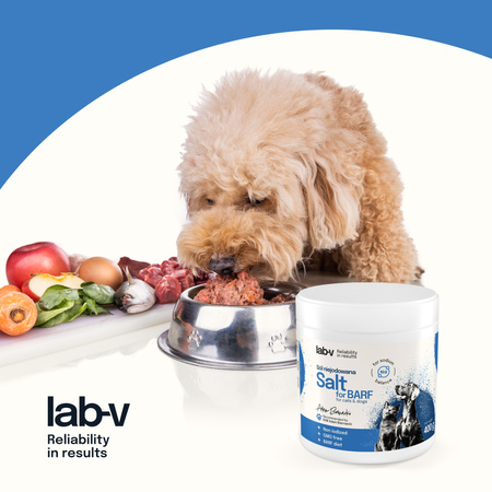 Lab-v Non-iodized salt – supports electrolyte balance and hydration 400 g