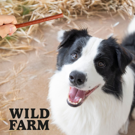 WILD FARM Rabbit sticks 2x500g dog treats